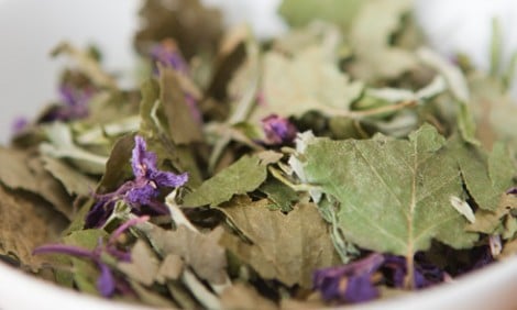 TISANA-ALLA-BETULLA-470×282