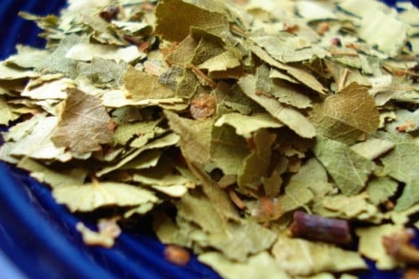 TISANA-ALLA-BETULLA1-470×313