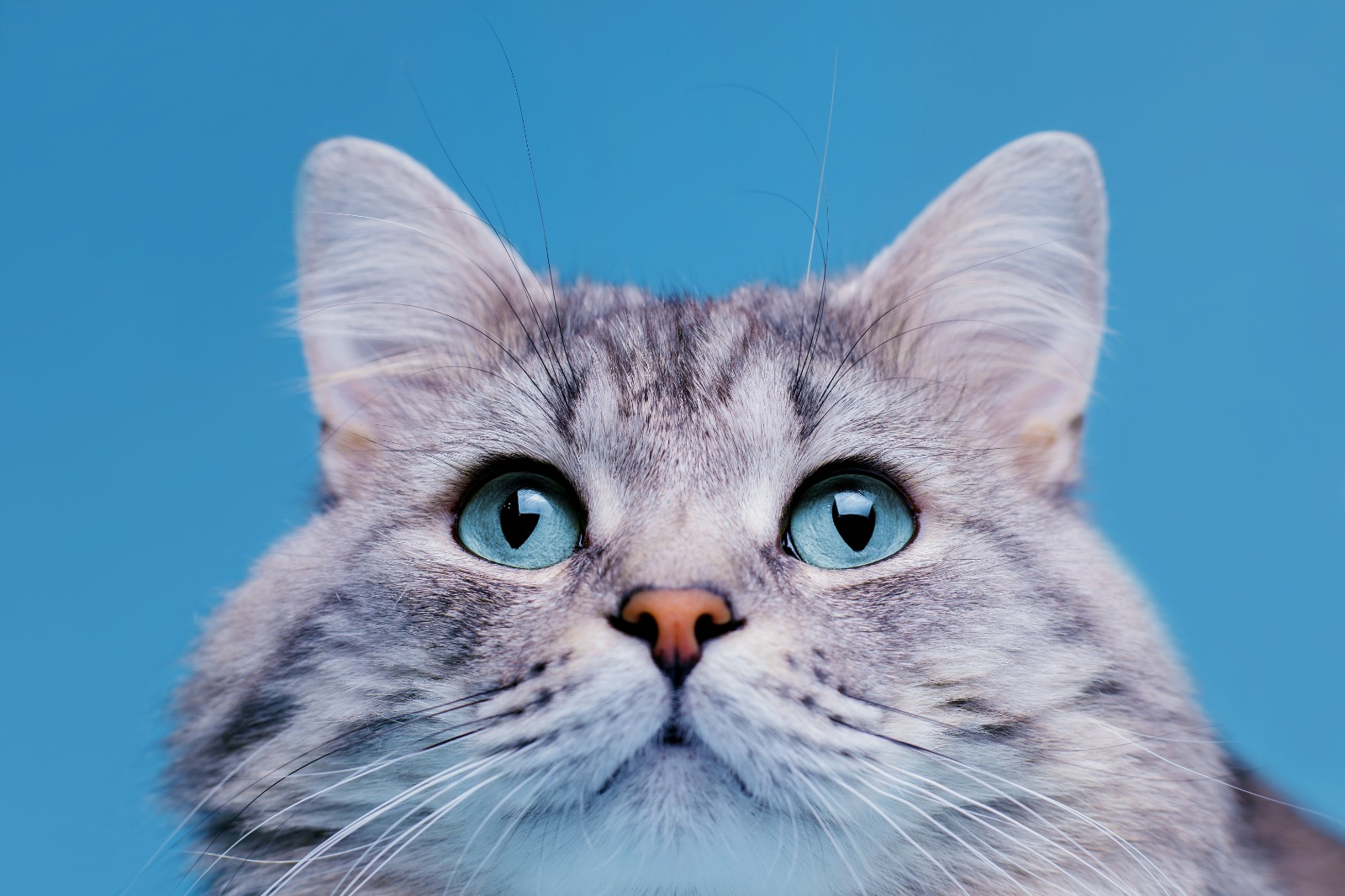 457e93e7-9778-4121-9433-e52e56b0b092