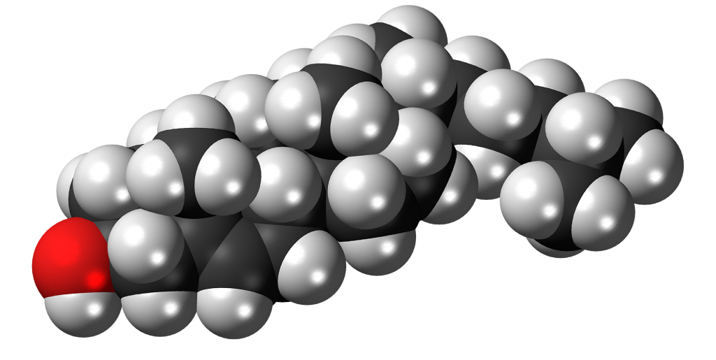 Colesterolo Alto: cause, valori e dieta da seguire