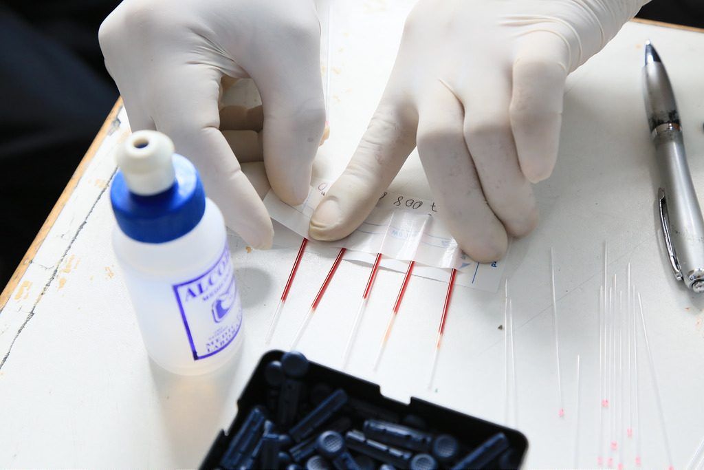 Galleria foto - Ferlixit per la cura delle carenze di ferro Foto 2