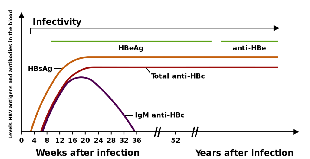 Galleria foto - Epatite B: cos’è, cause, diagnosi e terapia per questa malattia Foto 1