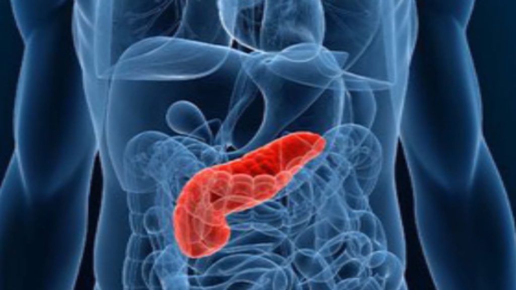 Pancreas: dove si trova, a cosa serve e quali sono le malattie