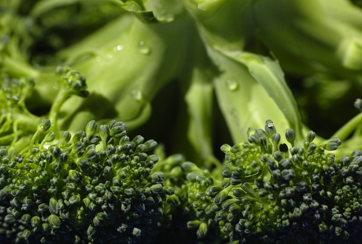 broccoli_1602683761