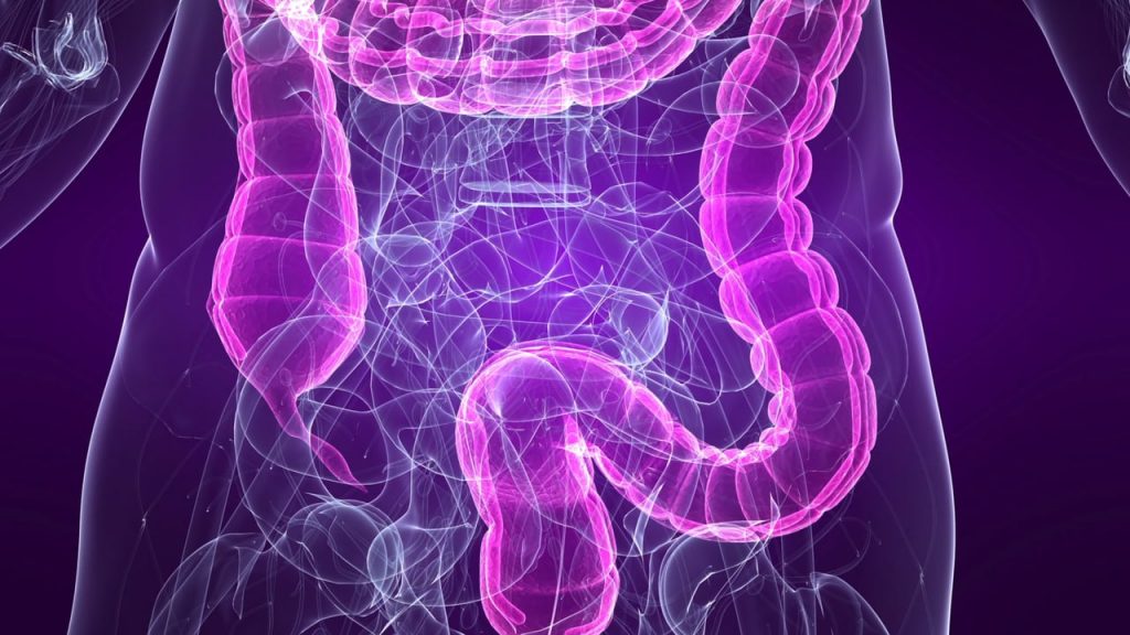 Escherichia Coli: cos’è, sintomi, cause, trasmissione e cure