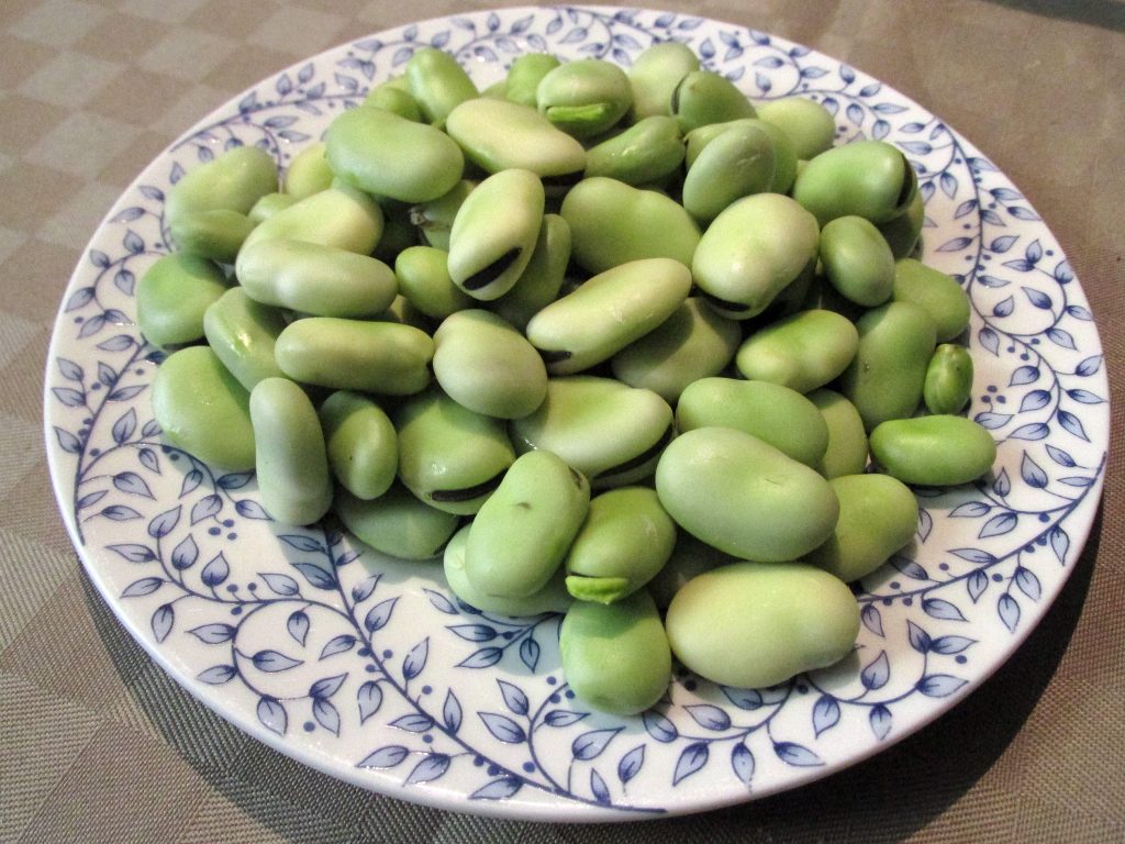 Galleria foto - Favismo: cause, sintomi, diagnosi e alimenti da evitare Foto 1