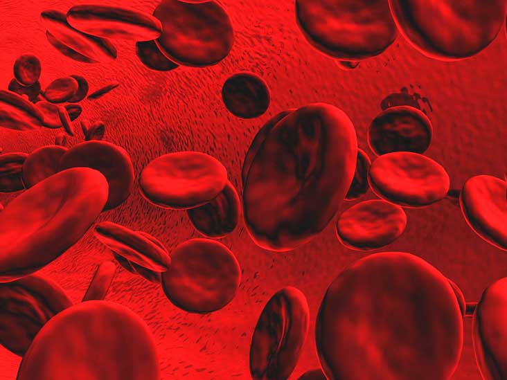 colesterolo-alto-da-cosa-dipende-e-come-combatterlo-a-tavola-1297-high-cholesterol-732×549-thumbnail