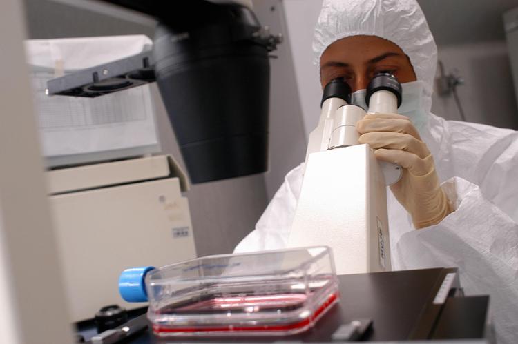 La terapia Car-T efficace contro il cancro, anche dopo un decennio